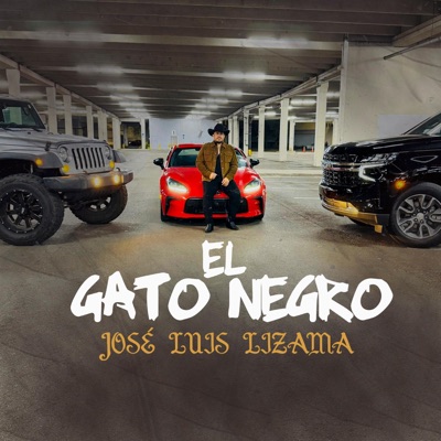 EL GATO NEGRO(LIZAMA) - Single