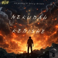 Nekudah Kedishe (feat. Sruly Green) - Single - Shlezkey