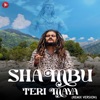 Shambu Teri Maya (Remix) - Single