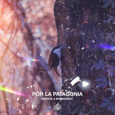 Por la Patagonia - Single