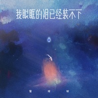 我眼眶的泪已经装不下 - Single - 雪球球
