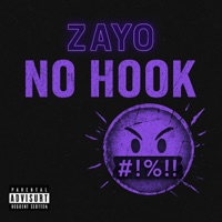 No Hook - Single - Zayo