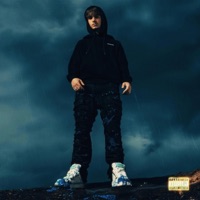 Zile Înainte De Blessed Freestyle - Single - Nicu Hat