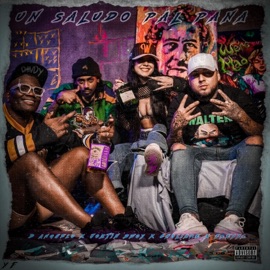 Un Saludo Pal Pana (feat. Joztin Bwoy, Choliare & Freyya) D'Anghelo