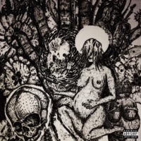Beyond the Living and the Dead - Joey Violin the Third Scar