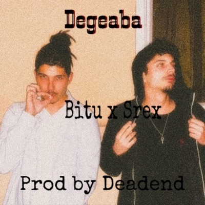 Degeaba (feat. Srex) - Single