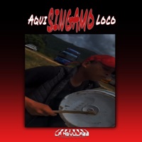 AQUI SINGAMO LOCO (Dembow) - Single - La Nevula23 Productor