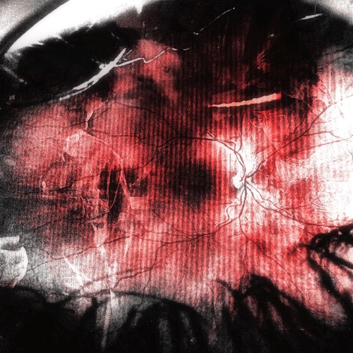CHECK THE EYES - Single