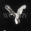 LONOWN & riserayss - worry (Slowed) artwork