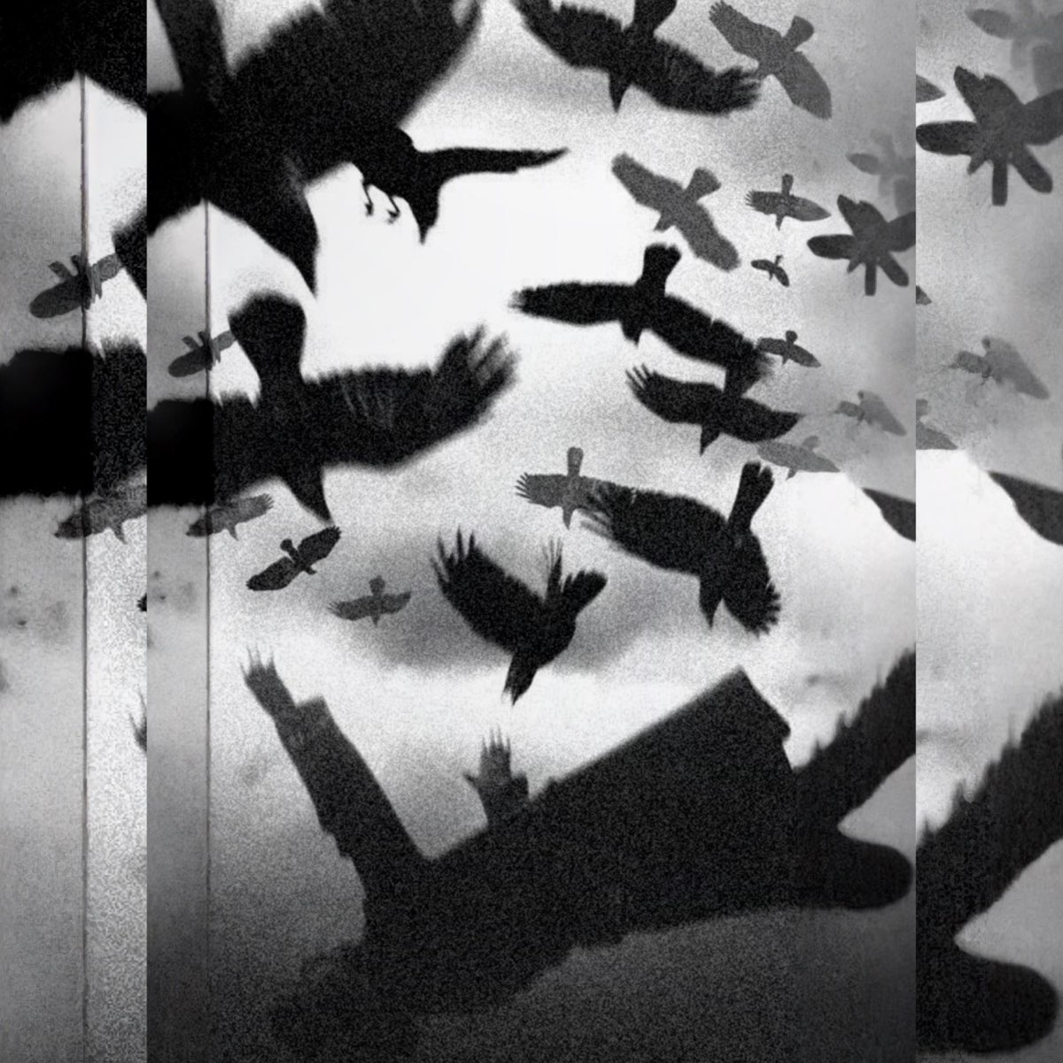 â žthe Birds Fly Album By Xzampler Apple Music