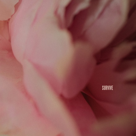song_img