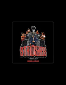 Dominanse을(를) 듣고, 뮤직 비디오를 보고, 약력을 읽고, 투어 일정 등을 확인하세요!