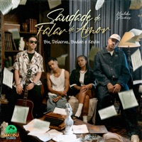 Saudade de Falar de Amor (feat. Keviin) - Single - BIN, Delacruz & Budah