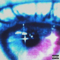 i felt euphoria... (preluxe) - EP - Ansh