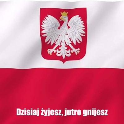 MUGA - Dzisiaj żyjesz, jutro gnijesz (Dagmara Kaźmierska)