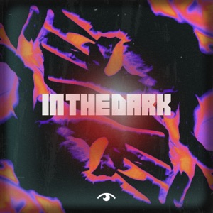 In The Dark - Single