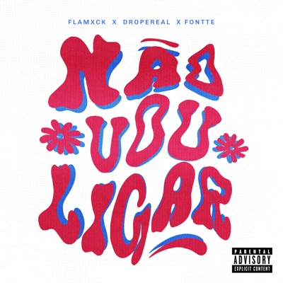 Não Vou Ligar - Single