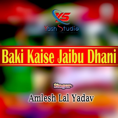 Baki Kaise Jaibu Dhani - Single