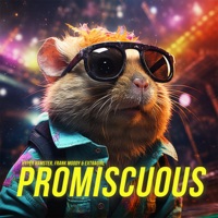 Promiscuous - Single - Hyper Hamster, Frank Moody & ExtraGirl