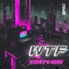 WTF (Radio Edit) - Single