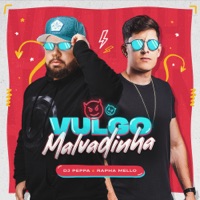 Vulgo Malvadinha - Single - Dj Peppa & Rapha Mello
