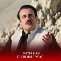 Ta Chi Mata Waye - Single - Gulzar Alam