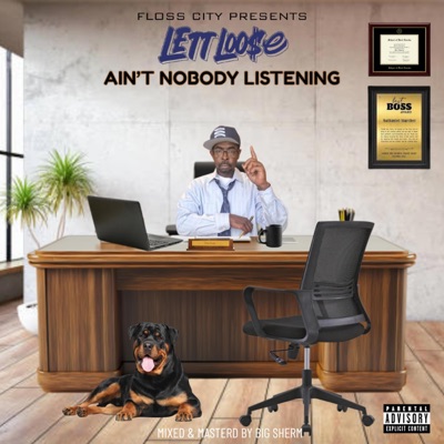 AIN'T Nobody Listening - Single