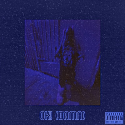 Ok! (Damn) - Single