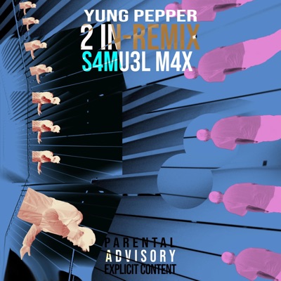 2-in(tro) (feat. S4MU3L M4X) - Single