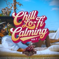 Album cover for Chill lo-fi calming 77 by Control Voltage & Italo Broadcast Guys