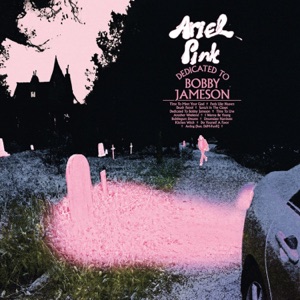 Dedicated to Bobby Jameson by Ariel Pink