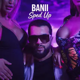 Banii (Sped Up) album cover