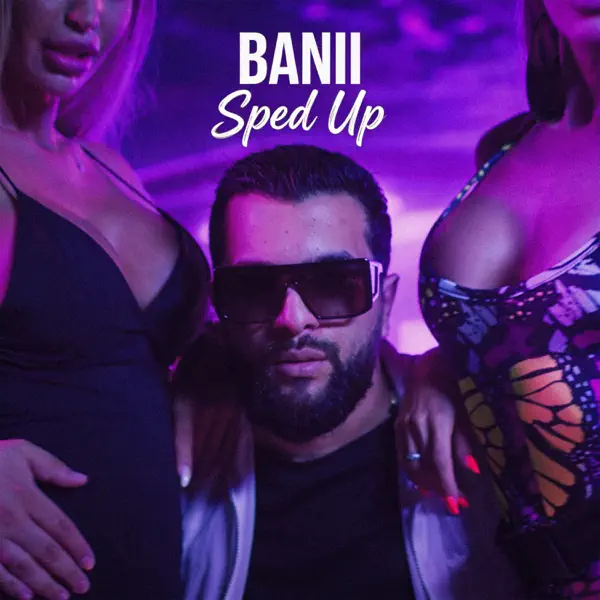 Banii (Sped Up) cover