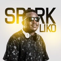 Usamatalikire (feat. Jay Jay Cee) - Single - Spark Liko