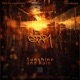 Sunshine and Rain Single