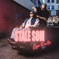Stále som - Single - Igor Kmeto