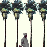 LONELY WOLF - Jazoe Da Juggernaut