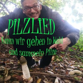 Pilz Lied / Komm wir gehen in Wald und sammeln Pilze (feat. Lehefx) Ufergold