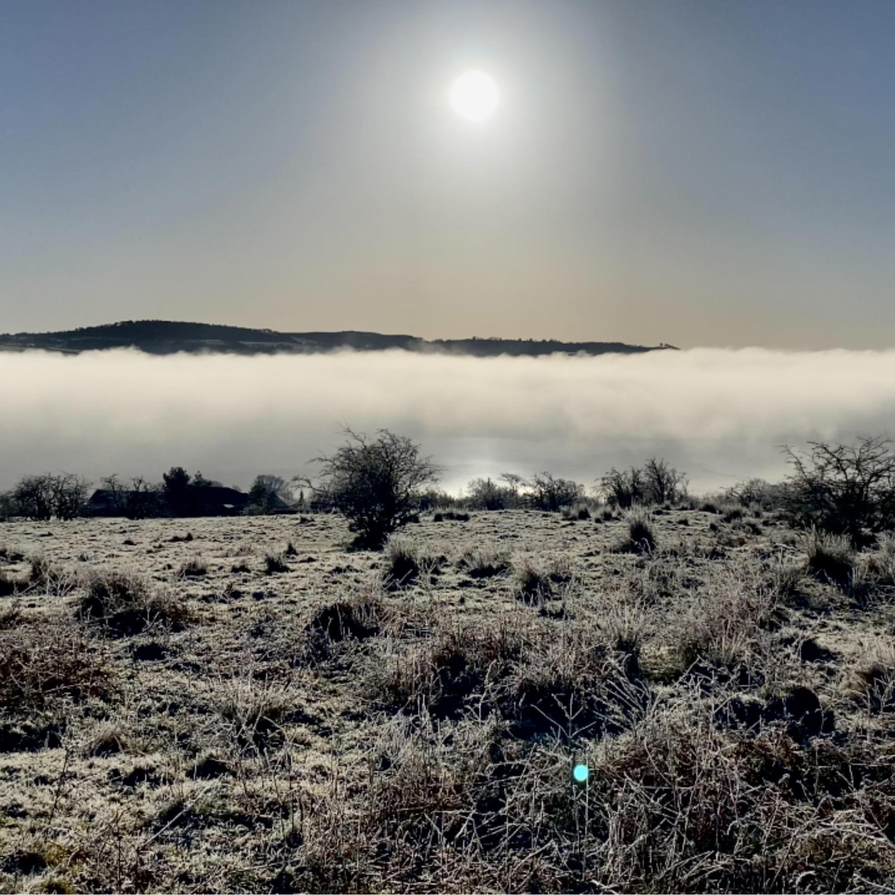 New Year's Waltz - Single