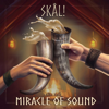 Miracle of Sound - Skal artwork