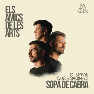 El senyal que esperaves - Single
