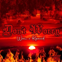 Don't Worry (feat. Kpacid) - Single - Wai