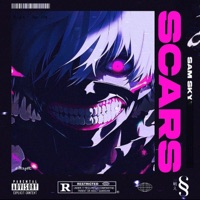 Scars (Sam Sky Version) - Single - Sore Losers Club & Roless