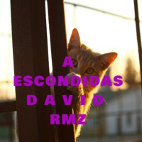 A Escondidas - Single - David Rmz