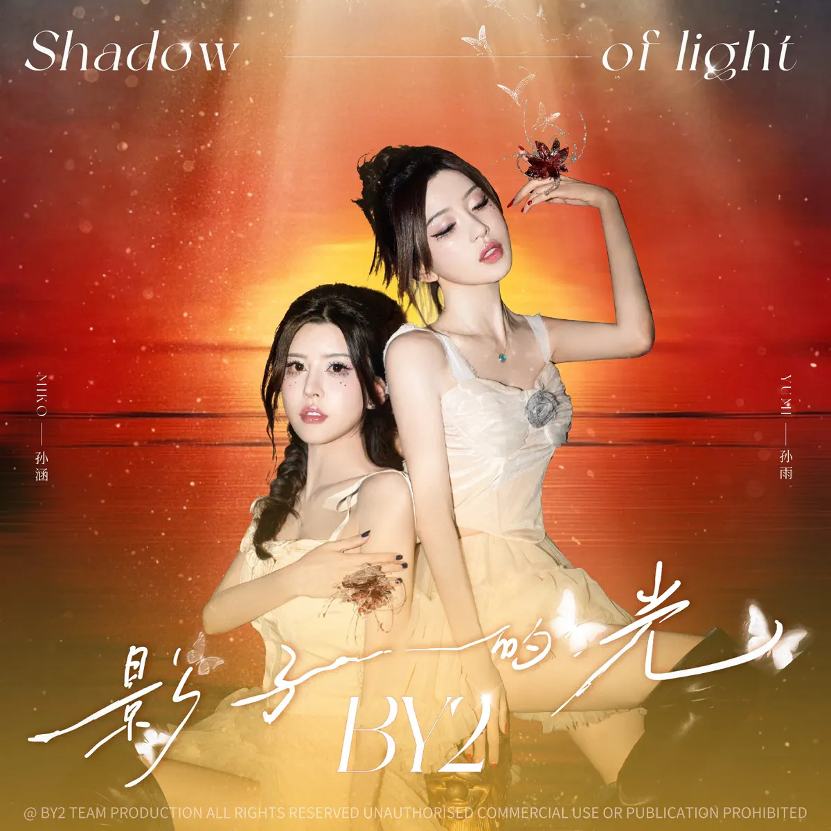 By2 - 影子的光 - Single (2024) [iTunes Plus AAC M4A]-新房子