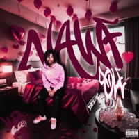 NAWF POLE DELUXE - KB Wickk