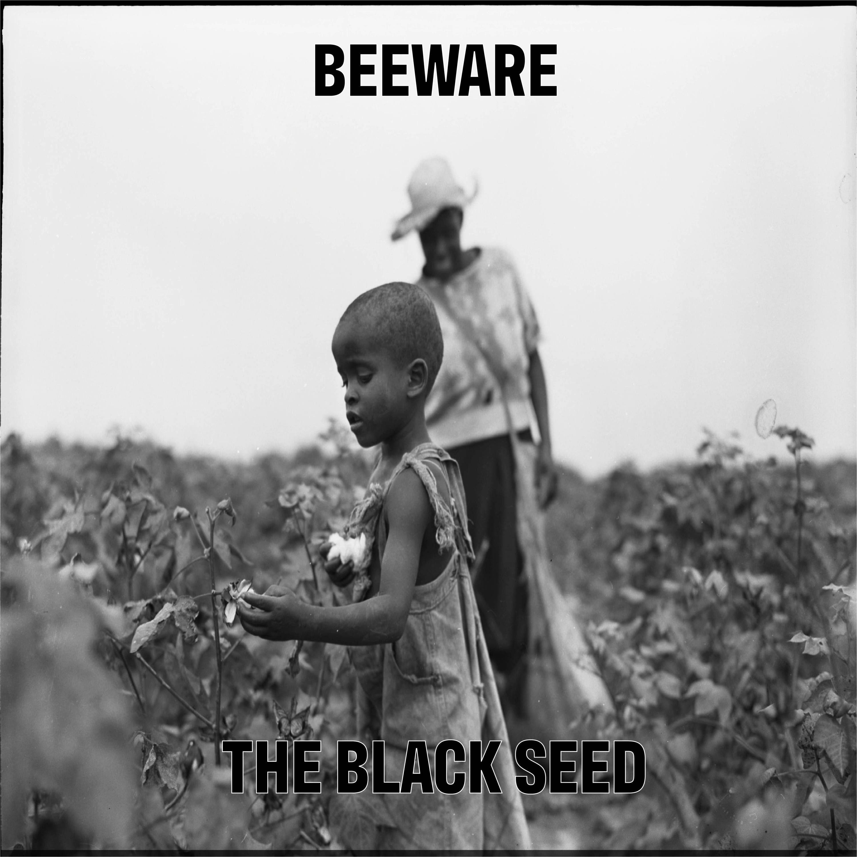 The Black Seed - Single