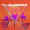 Tu Quieres (Slowdown) - Single