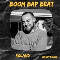 ROLAND - Single - Diggin' Sound