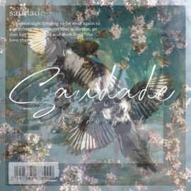 Saudade (feat. LlenRita) Retro.spect